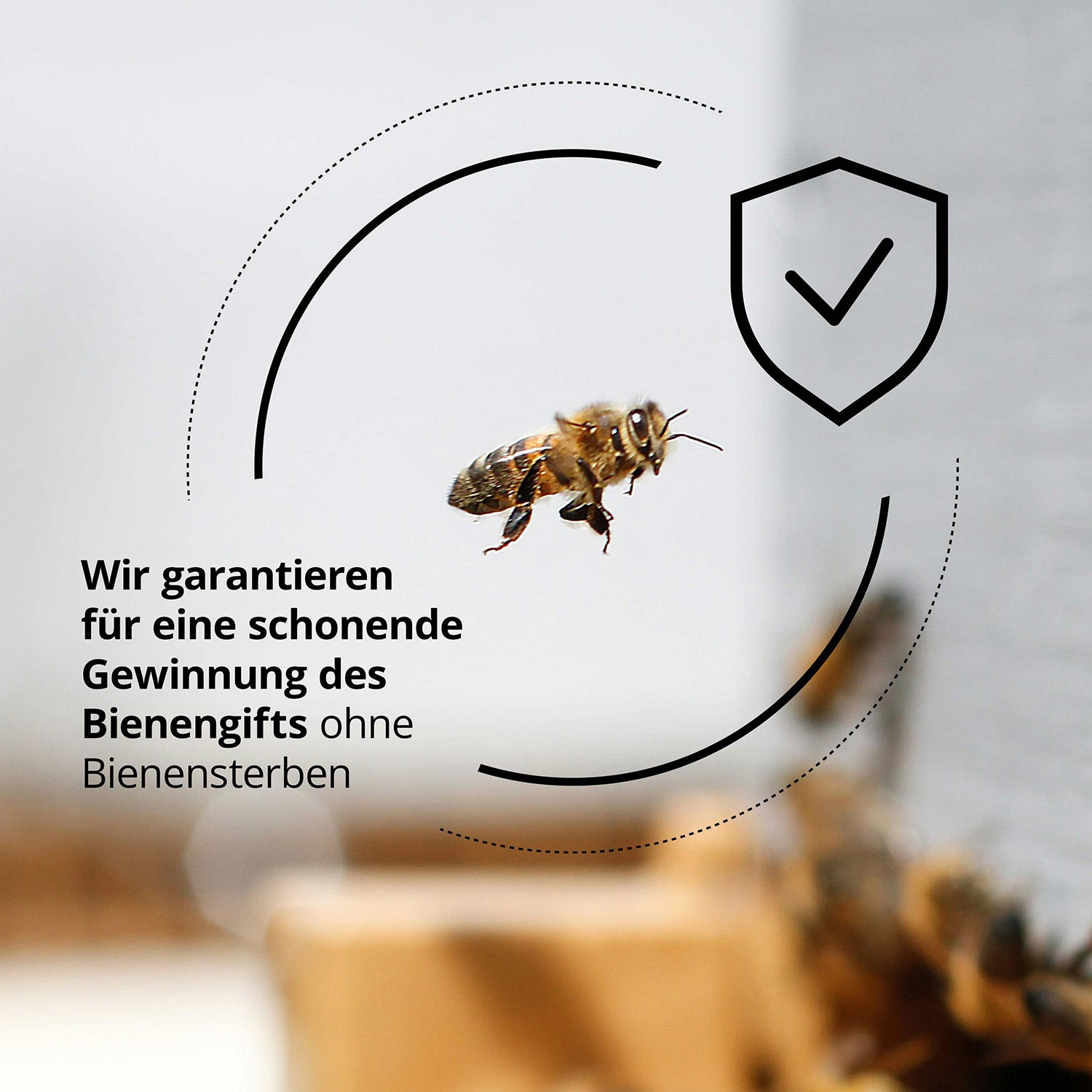 Anti-Falten Bienengiftserum