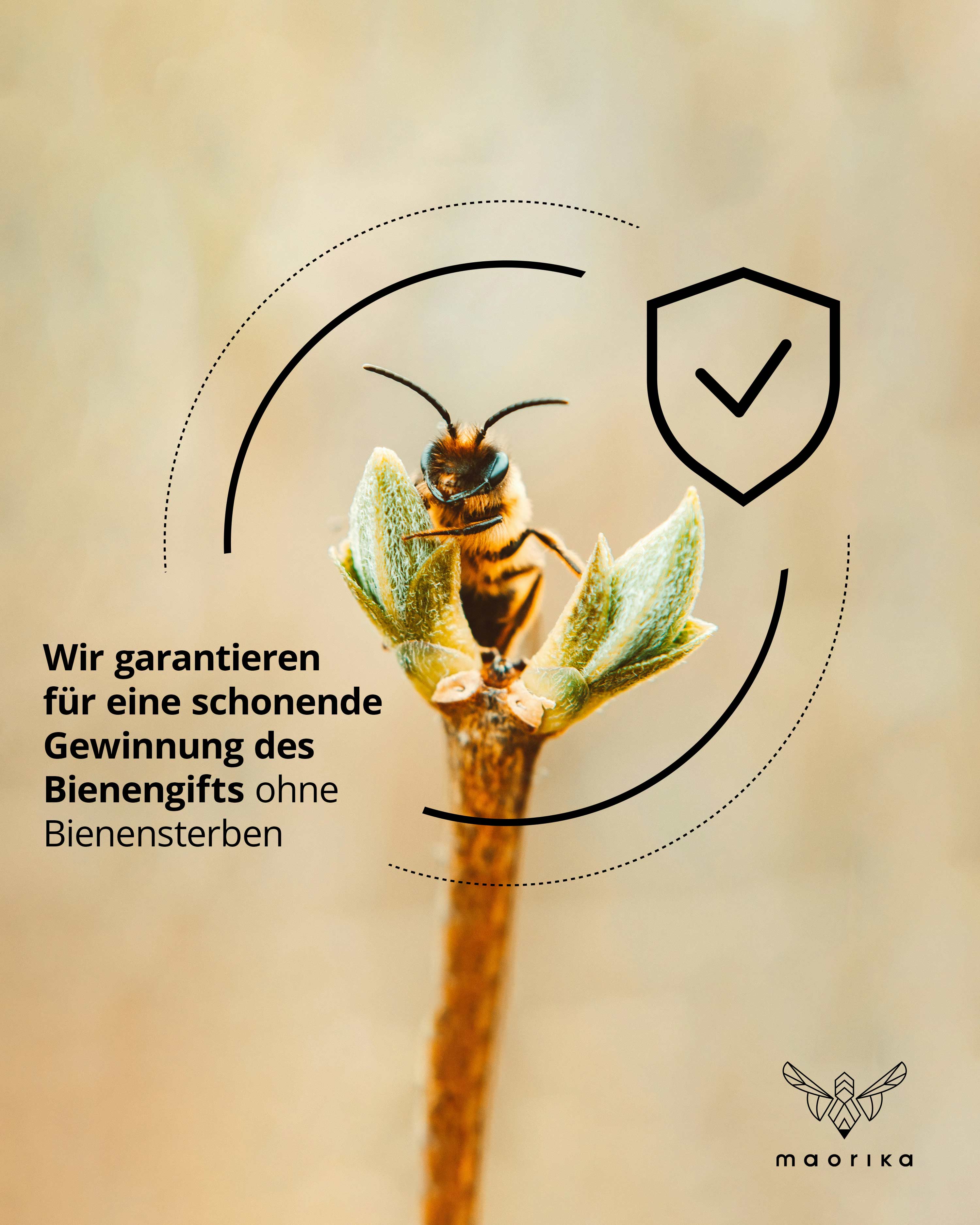 Anti-Falten Creme mit Bienengift LSF30