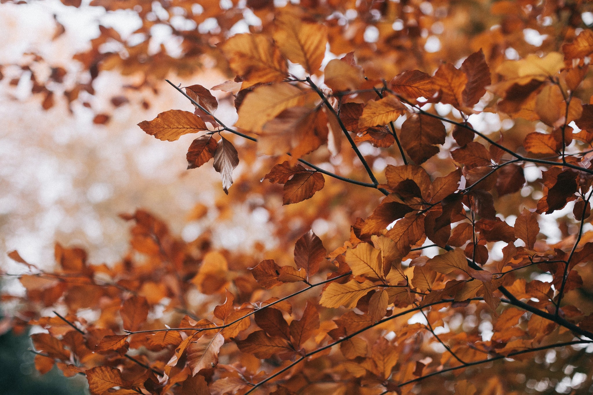 Fit durch den Herbst – 5 Tipps für die kalte Jahreszeit